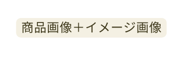 商品画像 イメージ画像